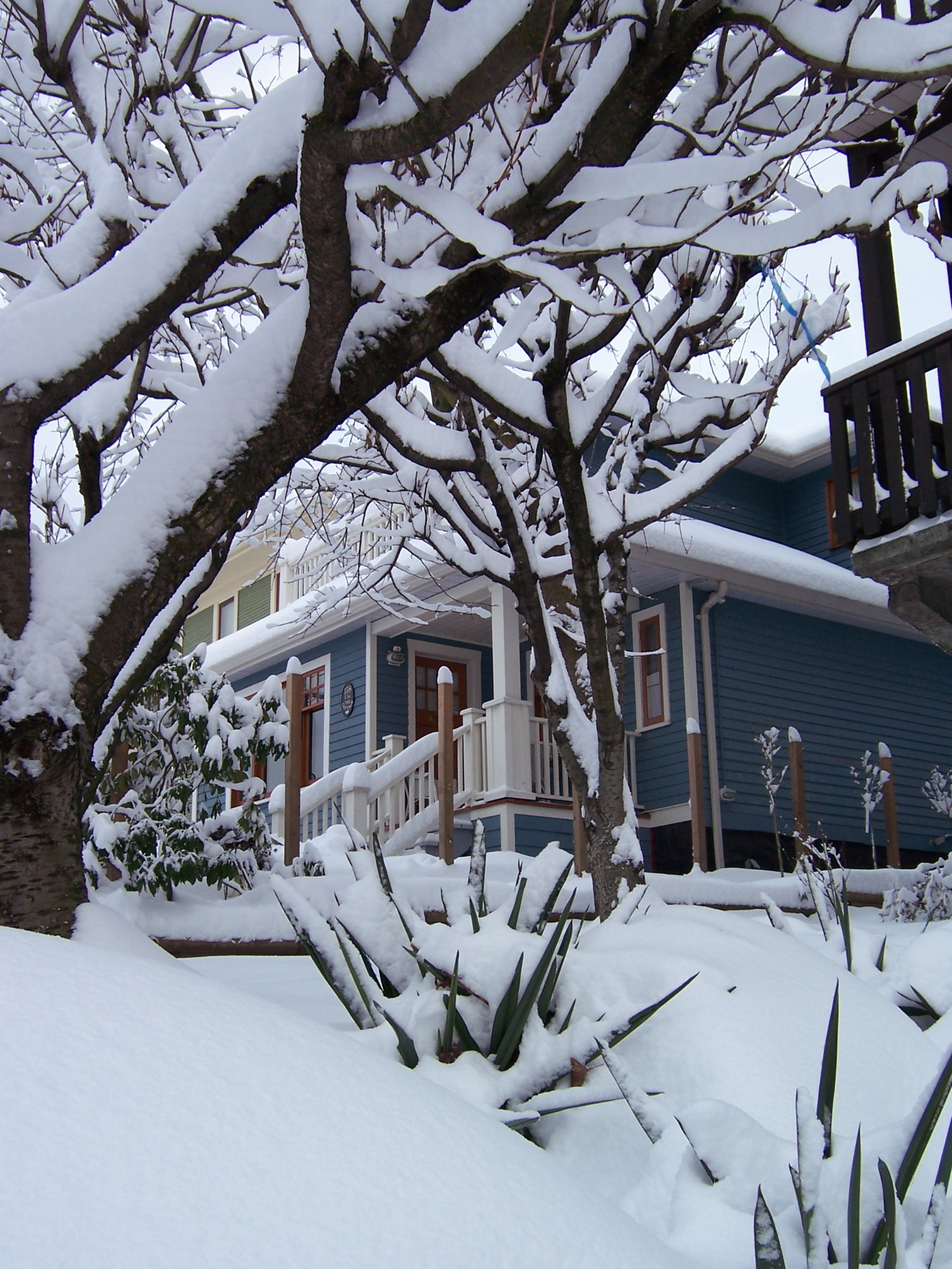 custom_resized 2. Rare Winter Snowfall at Sues Guest Cottage